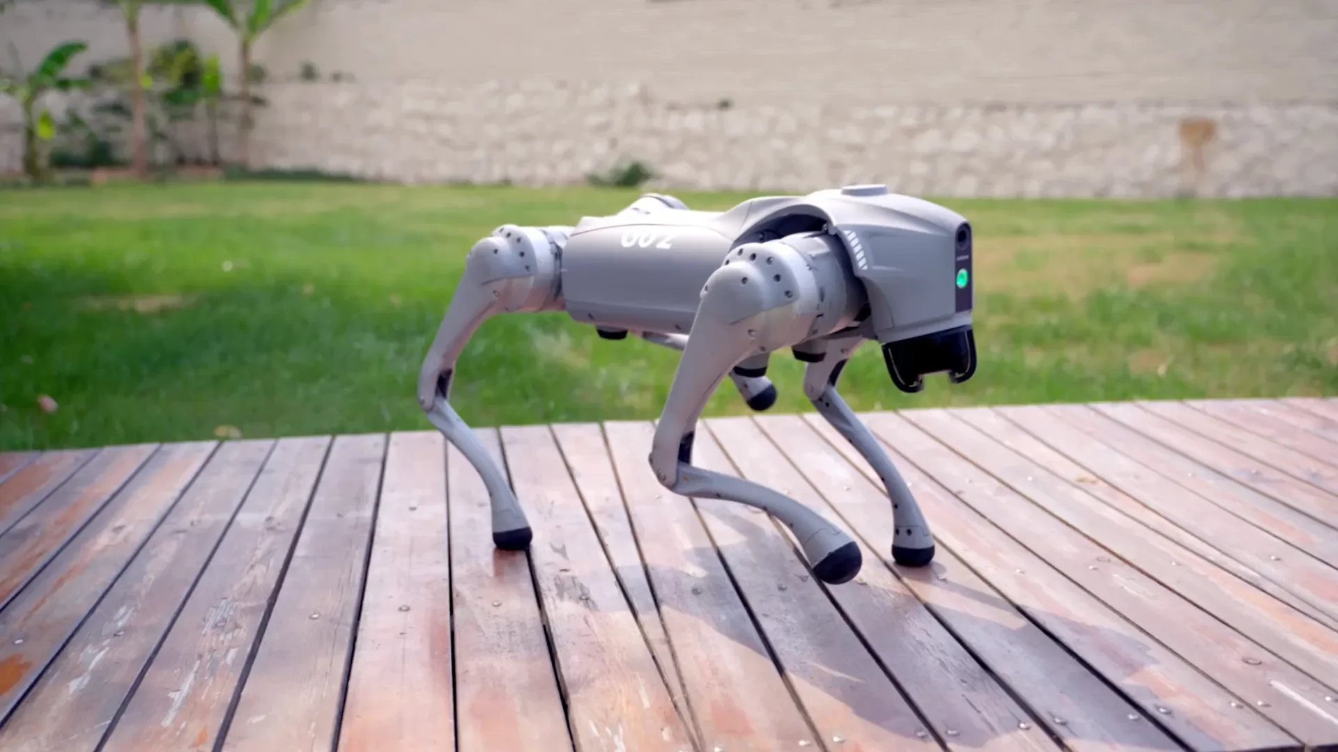 Unitree Go2 quadruped